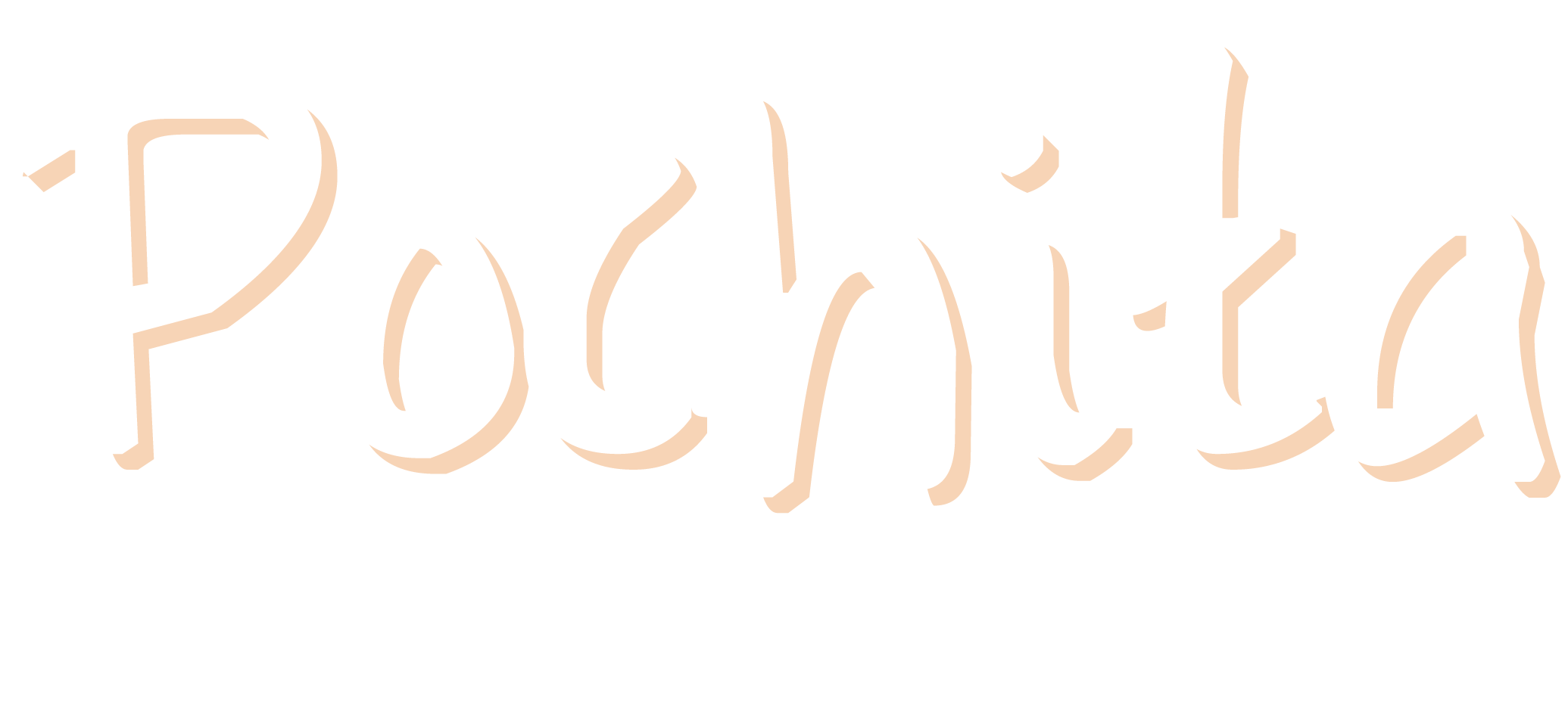 Pochita uy